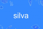 thiago silva：silva怎么读